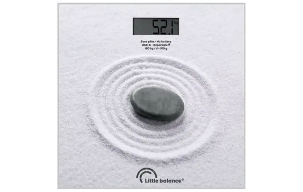 LITTLE BALANCE PESE  8841